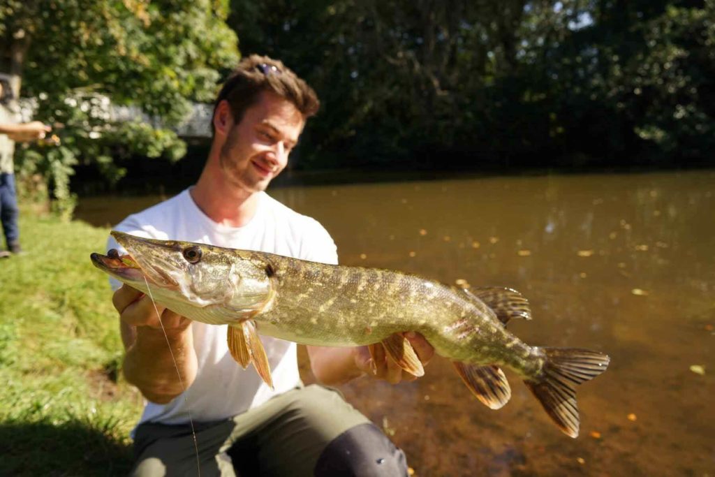 Gerät für Gummis  Angeln, Fische, Gummifische