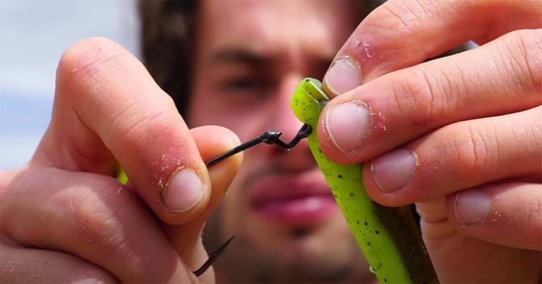 Gummifisch Montage ohne Bleikopf Mehr Fische Fangen