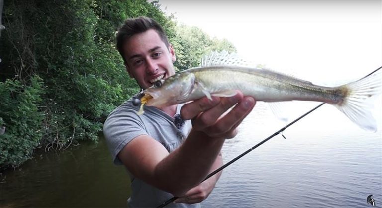 Die beste Fangzeit für Zander - Beisszeiten bestimmen